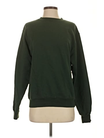 Champion Sweatshirt (view 1)