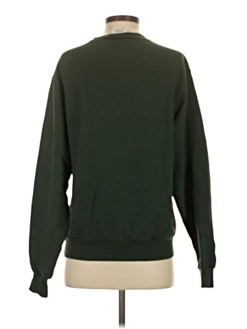 Champion Sweatshirt (view 2)
