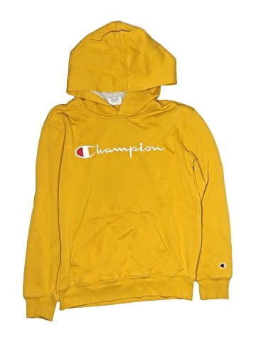Champion Pullover Hoodie (view 1)