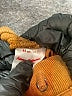 Hanna Andersson Solid Brown Khakis Size 2T - photo 4