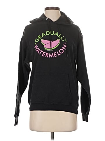 Hanes Pullover Hoodie (view 1)