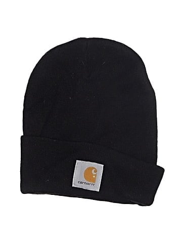 Carhartt Beanie (view 1)