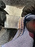 Jessica Simpson Blue Denim Jacket Size 6 - photo 4