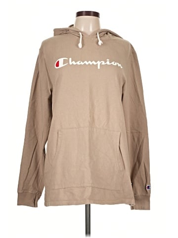 Champion Pullover Hoodie (view 1)