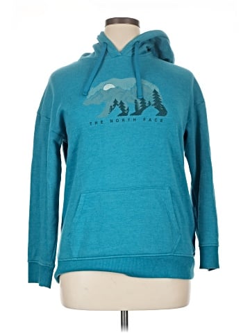 The North Face Pullover Hoodie (view 1)