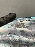 Exertek 100% Polyester Floral Blue Active T-Shirt Size M - photo 8