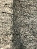 Zara Print Ivory Shorts Size 3-4 - photo 6