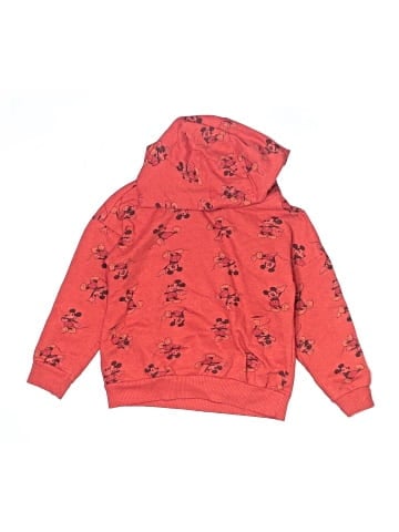 Disney Pullover Hoodie (view 1)