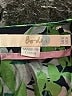 Boden Green 3/4 Sleeve Blouse Size 4 - photo 7