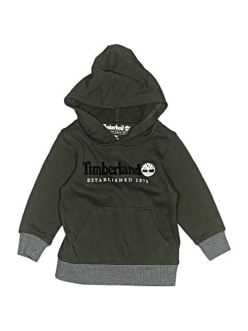Timberland Pullover Hoodie (view 1)