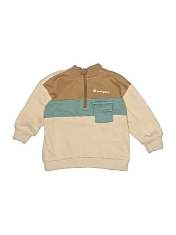 Champion Sweatshirt (view 1)