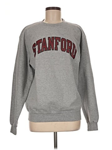 Champion Sweatshirt (view 1)