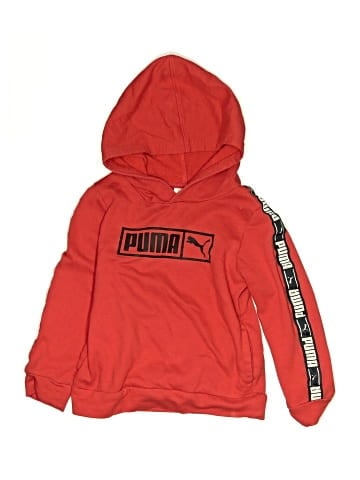 Puma Pullover Hoodie (view 1)