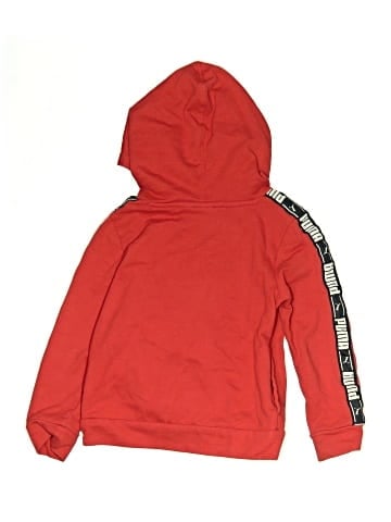 Puma Pullover Hoodie (view 2)