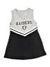 NFL 100% Polyester Gray Dress 12-18 MO / 18 MO - photo 1