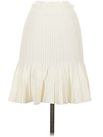 Zara Formal Skirt (view 2)