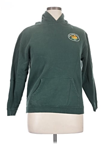 Disney Parks Pullover Hoodie (view 1)