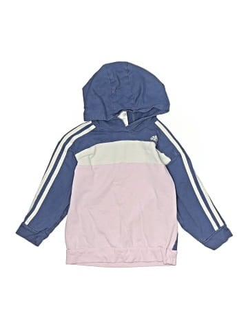 Adidas Pullover Hoodie (view 1)