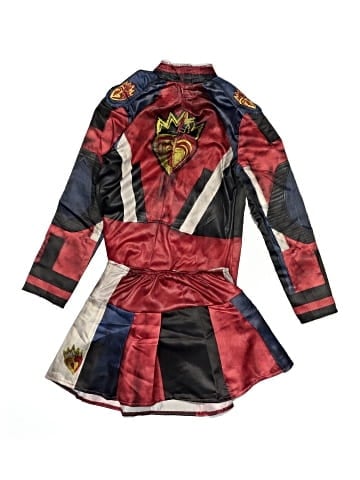 Disney Costume (view 2)