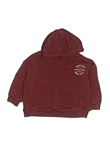 Zara Pullover Hoodie (view 1)