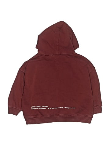 Zara Pullover Hoodie (view 2)
