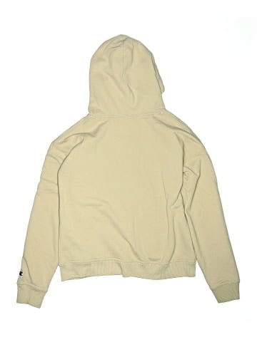 Champion Pullover Hoodie (view 2)