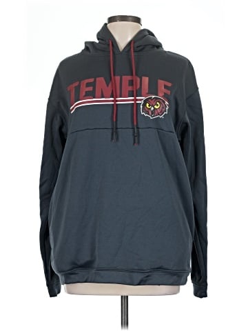 Champion Pullover Hoodie (view 1)
