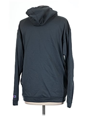 Champion Pullover Hoodie (view 2)