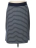 Gap Stripes Blue Casual Skirt Size Lg Petite - photo 1