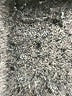 MICHAEL Michael Kors Solid Black Dress Pants Size 8 - photo 8