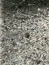 Lou & Grey Gray Active Pants Size M - photo 8