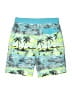 Hurley 100% Polyester Green Board Shorts Size 14 - photo 2