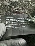 Theory Solid Black Shorts Size 10 - photo 4
