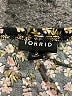 Torrid Floral Black Casual Dress Size 2X Plus (2) - photo 7