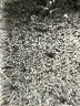 Adidas 100% Polyester Solid Black Athletic Shorts Size 14 - 16 - photo 4