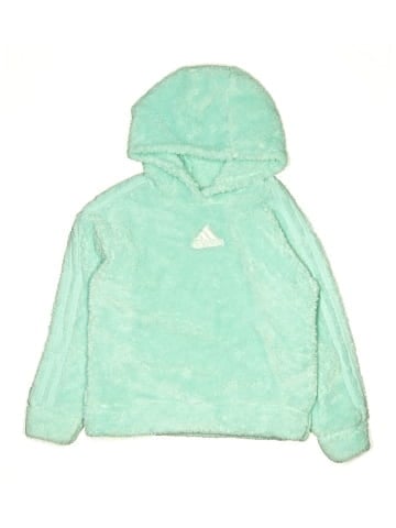 Adidas Pullover Hoodie (view 1)