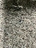 J.Crew 100% Cotton Brown Pullover Sweater Size XL (estimated) - photo 8