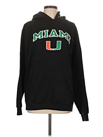 Champion Pullover Hoodie (view 1)