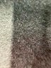 Ann Taylor Animal Print Black Cocktail Dress Size 2 - photo 8
