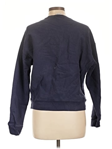 Champion Sweatshirt (view 2)