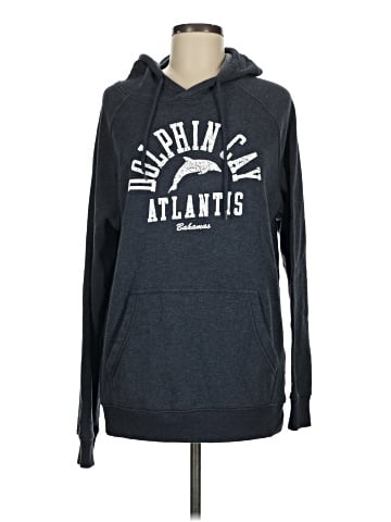 Champion Pullover Hoodie (view 1)