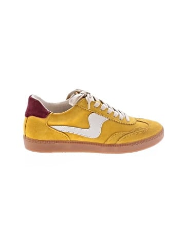 Dolce Vita Sneakers (view 1)