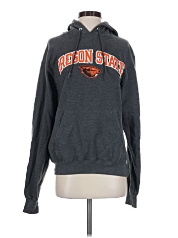 Champion Sweatshirt (view 1)