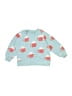 Hanna Andersson Print Teal Pullover Sweater Size 3T - photo 1