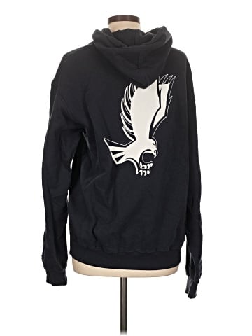Champion Pullover Hoodie (view 2)