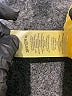 BDG 100% Cotton Yellow Cargo Pants Size XXS - photo 6