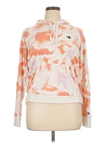 Champion Pullover Hoodie (view 1)