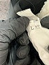 Unbranded Ivory Jacket Size L - photo 6