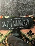 Sweet Wanderer Green Sleeveless Top Size M - photo 7