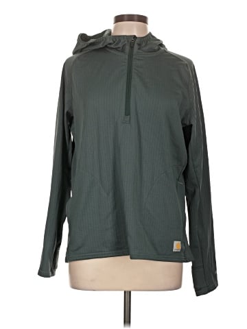 Carhartt Pullover Hoodie (view 1)
